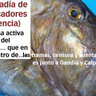 Segunda Parte; Cofradías de Gandia, Calpe y Valencia, Director de Pesca y Subdirector, denunciados-as por Pladesemapesga ante la Comisión de Transparencia de la Comunitat por OCULTACIÖN Y CENSURA de las cuentas públicas.